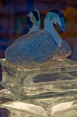 DSC_3757.jpg