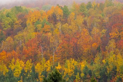 DSC_2197.jpg
