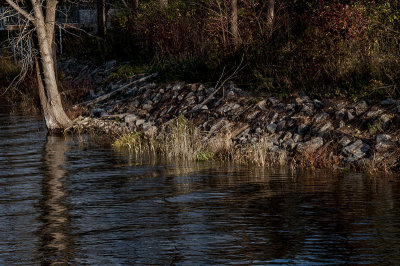 _DSC8052.jpg