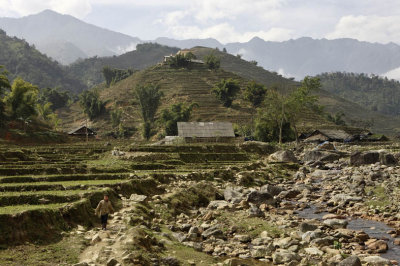 Sapa