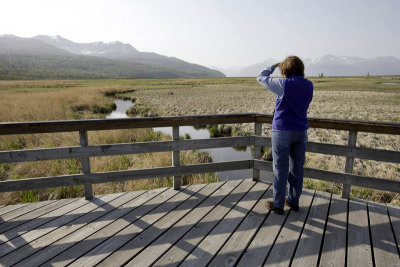 Bird Reserve at Turnagain Arm