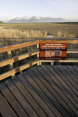 Bird Reserve at Turnagain Arm