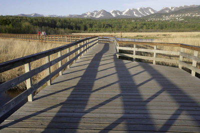 Bird Reserve at Turnagain Arm