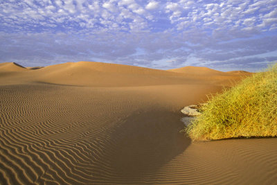 Dead Vlei, Namibia