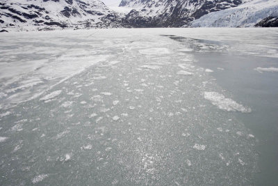 Portage glacier cruise