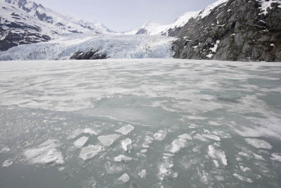 Portage glacier cruise