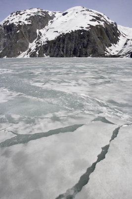 Portage glacier cruise