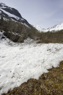 Portage glacier area