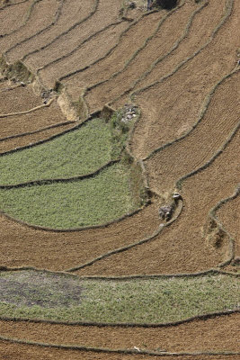 Fields around Can Cau