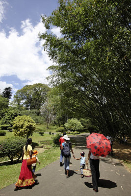 Kandy Botanic Garden