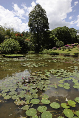 Kandy Botanic Garden