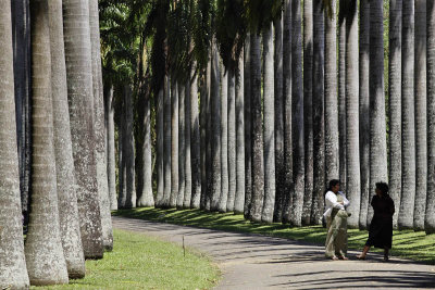 Kandy Botanic Garden