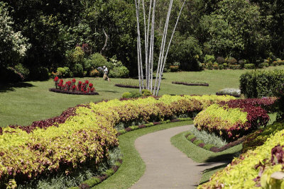 Kandy Botanic Garden