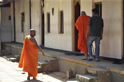 Kandy, at Malwatta Monastery