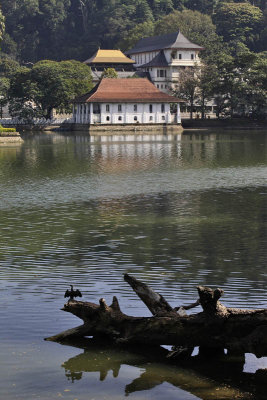 Around Kandy Lake