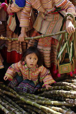 Sapa market