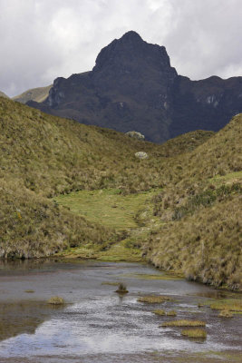 Cajas National Park, Ecuador