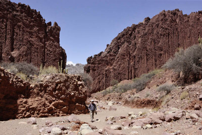 Around Tupiza, Valle de los Machos