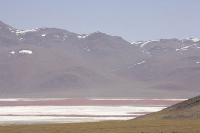 Reserva Eduardo Avaroa, Laguna Colorada