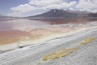 Reserva Eduardo Avaroa, Laguna Colorada