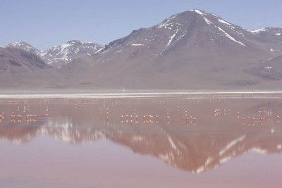 Reserva Eduardo Avaroa, Laguna Colorada