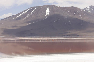 Reserva Eduardo Avaroa, Laguna Colorada