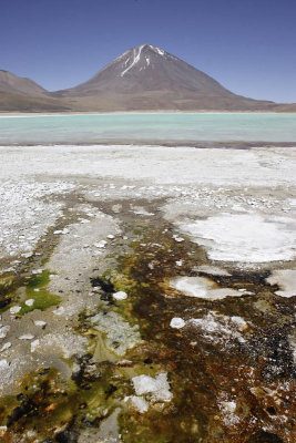 Reserva Eduardo Avaroa, Laguna Verde