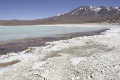 Reserva Eduardo Avaroa, Laguna Verde