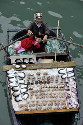 Halong Bay Cruise