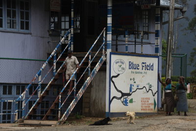 Blue Field Tea Factory