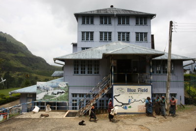 Blue Field Tea Factory