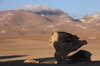 Reserva Eduardo Avaroa, rbol de Piedra