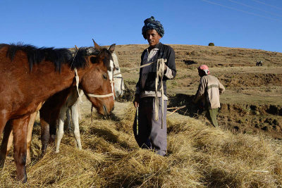 Simien Mountain to Debark