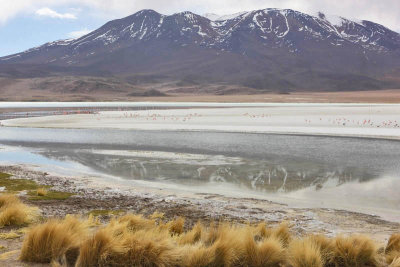 Reserva Eduardo Avaroa, Laguna Hedionda