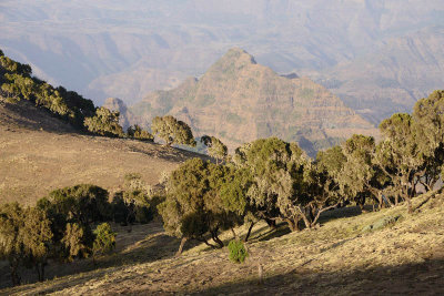 Outside Simien Hotel