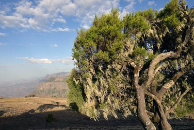 Outside Simien Hotel