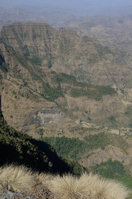 Simien Mountain