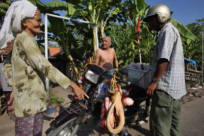 Mekong Delta