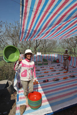 Mekong Delta