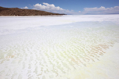 Uyuni Salar, Isla del Pescador