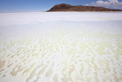 Uyuni Salar, Isla del Pescador