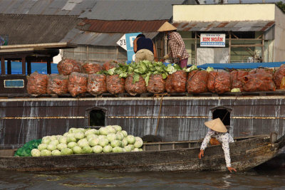 Mekong Delta