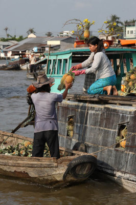 Mekong Delta