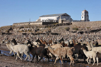 Uyuni Salar, Tahua