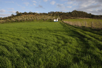 Near Vila Viosa, Portugal