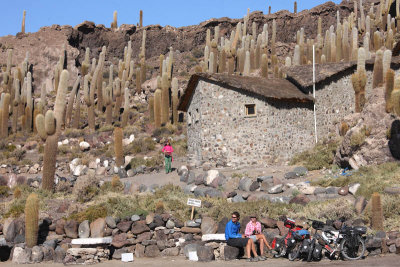 Incahuasi Island, Uyuni Salar