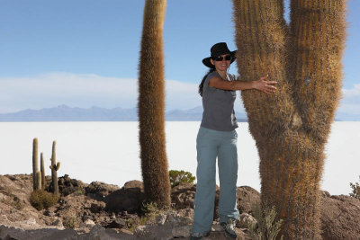 Incahuasi Island, Uyuni Salar