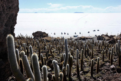 Incahuasi Island, Uyuni Salar