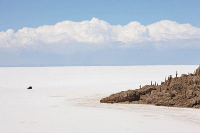 Incahuasi Island, Uyuni Salar