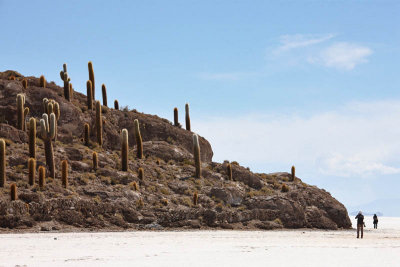 Incahuasi Island, Uyuni Salar